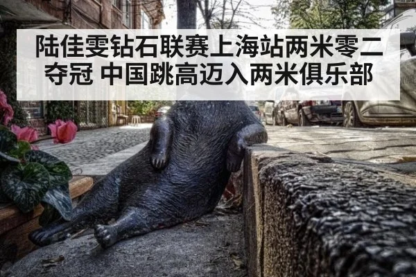 陆佳雯钻石联赛上海站两米零二夺冠 中国跳高迈入两米俱乐部